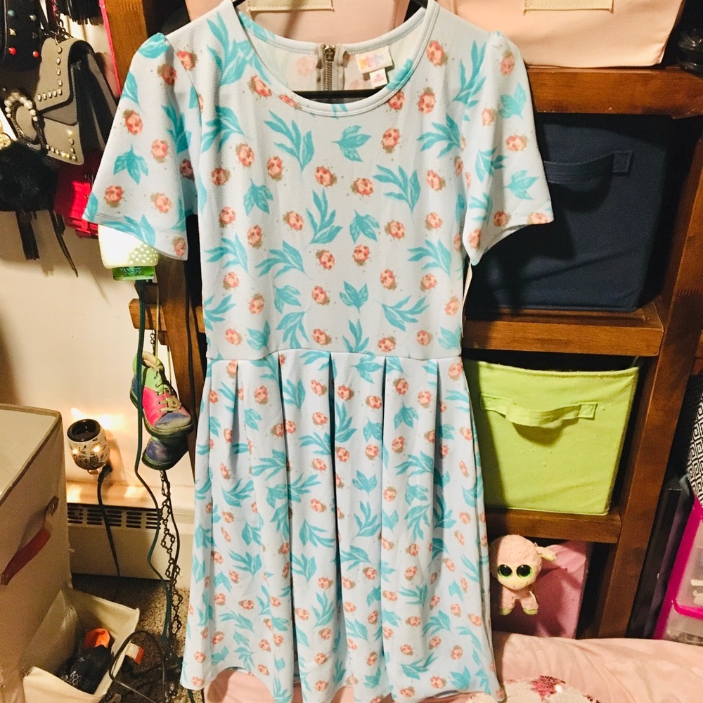 LuLaRoe Summer Dress